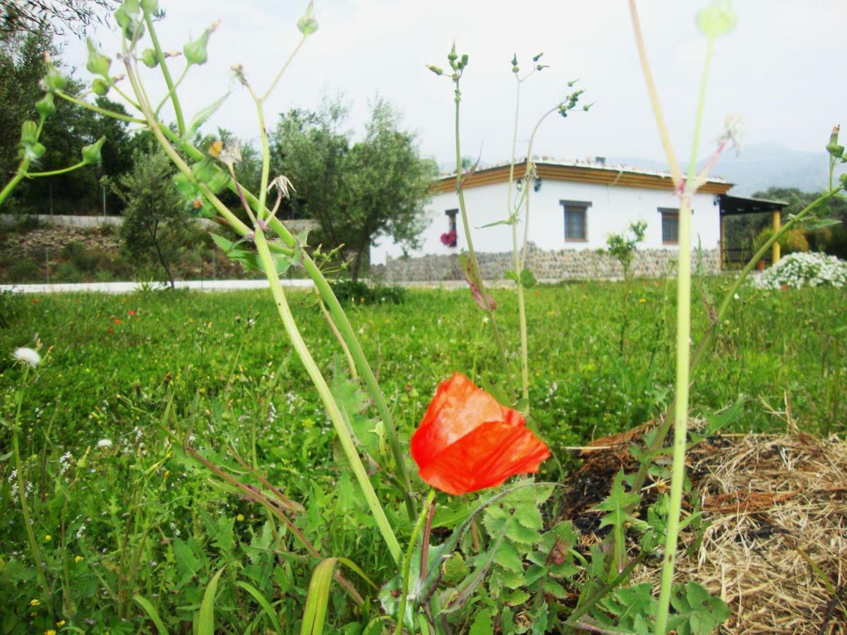 Casa Rural La Chumbera Orgiva Bagian luar foto
